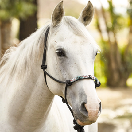 Professionals Choice Halter Rope Beaded