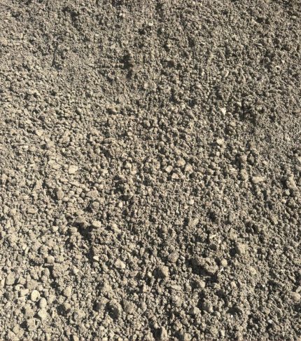 Bioswale Mix