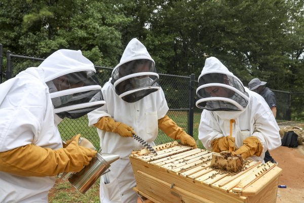 Veterinary Medical Center residents inspect a beehive frame under the guidance of Dr Joerg Mayer.